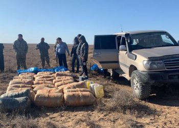 Түркістан полицейлері Нұр-сұлтан қаласы мен Жамбыл облысының тұрғындарын 700 келі есірткімен ұстады