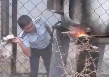 Учаскелік полицейлер тоқ реттеуішінен шыққан өртті өз күштерімен сөндіріп, тұрғындардың алғысын алды