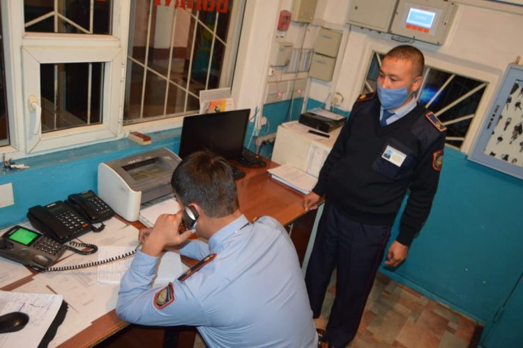 Түркістан облысының полицейлері жоғалған жылқы үйірін қайтарды