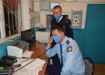 Түркістан облысы полицейлері 8 дана қорап алмасын ұрлаған күдіктілерді ұстады