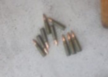 Полицейлер Түркістан облысының тұрғынынан карабин мен оқ-дәрілері бар аңшылық мылтықты тәркіледі