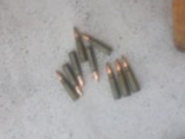 Полицейлер Түркістан облысының тұрғынынан карабин мен оқ-дәрілері бар аңшылық мылтықты тәркіледі