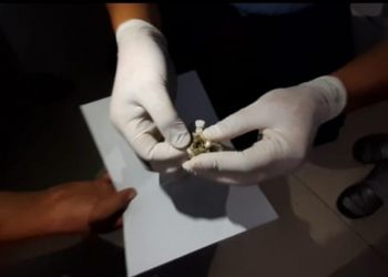 Түркістан облысының полицейлері есірткіні сақтап, өткізген күдіктілерді ұстады