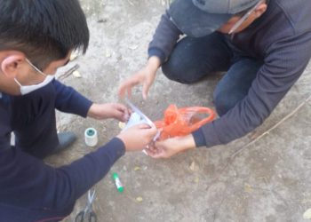 Түркістан облысы полицейлері тұрғынның ауласынан 250 грамм марихуана тәркіледі