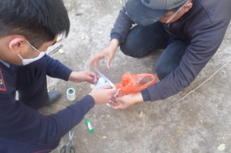 Түркістан облысы полицейлері тұрғынның ауласынан 250 грамм марихуана тәркіледі