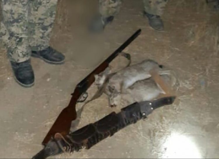 Түркістан облысының полицейлері браконьерлерден жабайы қояндар тәркіледі