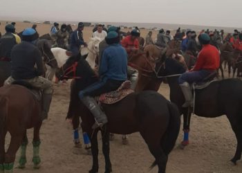 Түркістан облысының полицейлері кезекті «көкпар» ұйымдастырушыларды жауапқа тартты