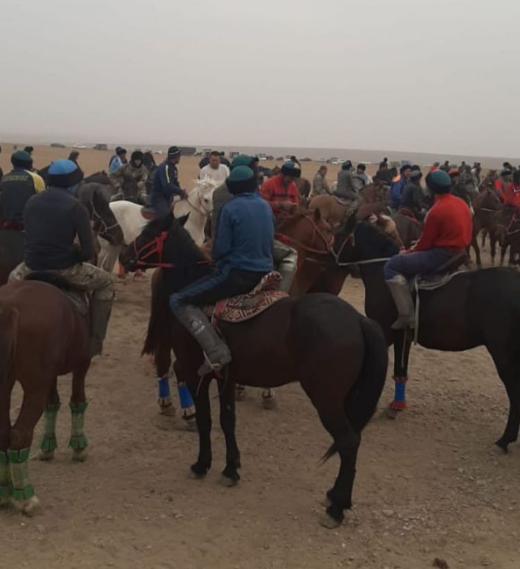 Түркістан облысының полицейлері кезекті «көкпар» ұйымдастырушыларды жауапқа тартты