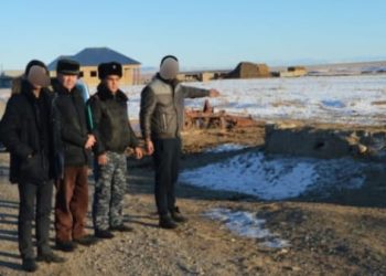 Түркістан облысының полицейлері бірнеше мал ұрлығын жасаған қылмыстық топты құрықтады