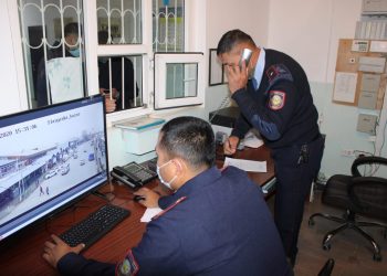 Түркістан облысының полицейлері мас халде көлік басқарған күдіктіні анықтады