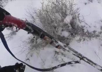 Түркістан облысының полицейлері заңсыз қару ұстап жүрген тұрғынды ұстады