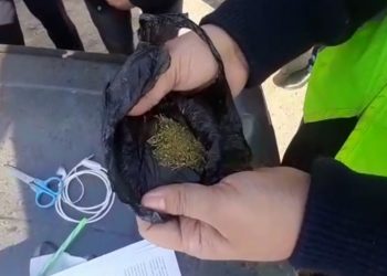 Сарыағаш АПБ-нің полицейлері жаяу жүргіншіден  есірткі затын анықтады