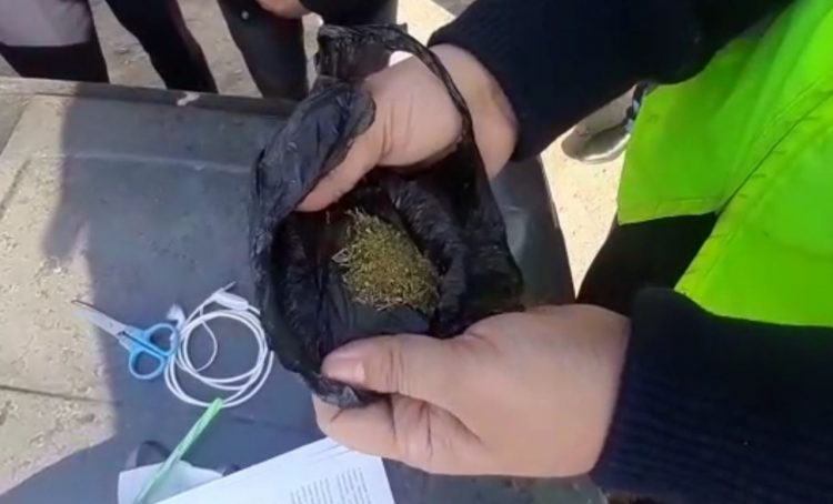 Сарыағаш АПБ-нің полицейлері жаяу жүргіншіден  есірткі затын анықтады