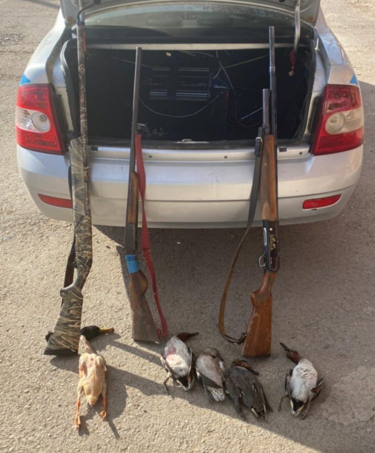 Жабайы үйрек атқан  браконьерлерді ұстады