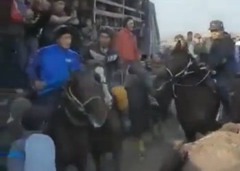 Түркістан облысында карантин кезінде 200-ге жуық адамның басын қосып көкпар ұйымдастырған тұлға анықталды