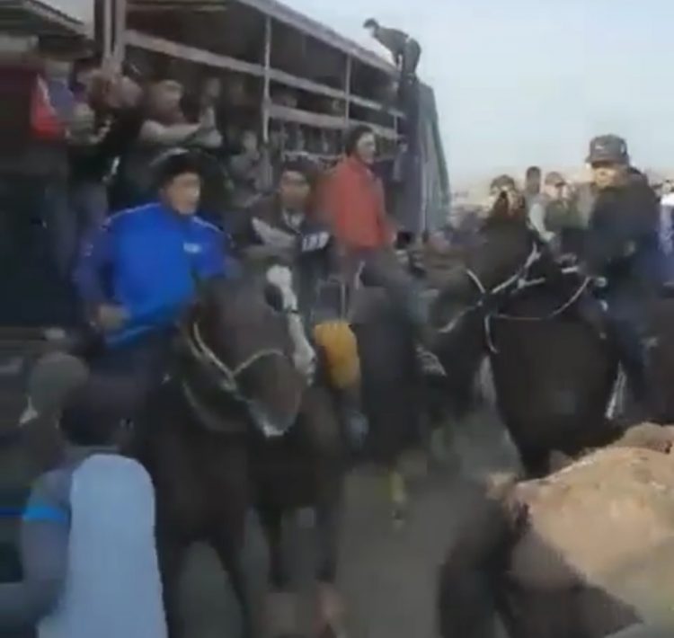 Түркістан облысында карантин кезінде 200-ге жуық адамның басын қосып көкпар ұйымдастырған тұлға анықталды