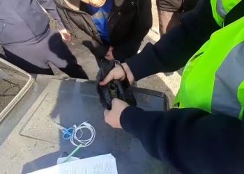 Түркістан облысының полицейлері жергілікті тұрғыннан есірткі затын тәркіледі