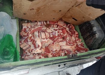 Түркістан облысының полицейлері  құжатсыз ет тасымалдаған жүргізушіні анықтады