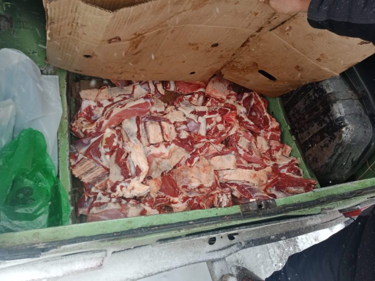 Түркістан облысының полицейлері  құжатсыз ет тасымалдаған жүргізушіні анықтады