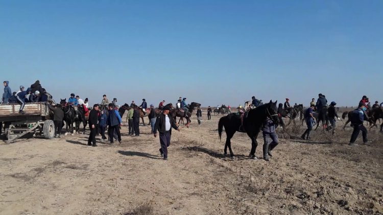 Түркістан облысының полицейлері кезекті көкпарды анықтады