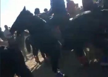 Кезекті көкпар ойына тосқауыл қойды