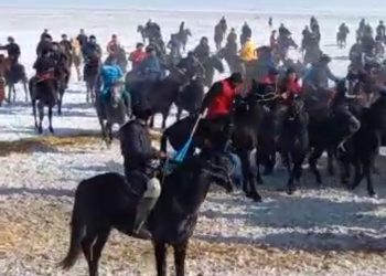 Түркістан облысында кезекті «Көкпар» ойыны анықталды