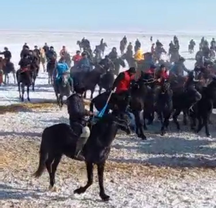 Түркістан облысында кезекті «Көкпар» ойыны анықталды