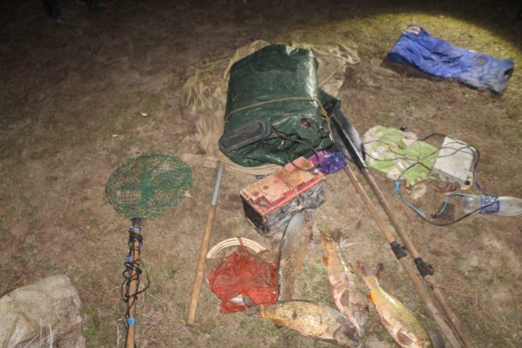 Шардара су қоймасынан заңсыз балық аулаған мақтааралдық браконьерді ұстады