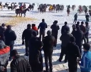 Түркістан облысының полицейлері карантин талаптарын бұзудың 2000-ға жуық жайтын анықтады