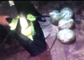 Полицейлер Арыс қаласының тұрғынынан 4,5 келіден астам марихуана тәркіледі