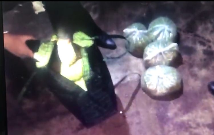 Полицейлер Арыс қаласының тұрғынынан 4,5 келіден астам марихуана тәркіледі