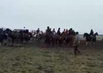 Түркістан облысының полицейлері кезекті «көкпар» ұйымдастырушысын жауапқа тартты