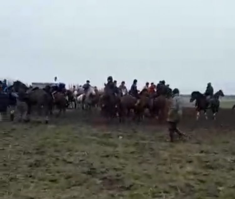 Түркістан облысының полицейлері кезекті «көкпар» ұйымдастырушысын жауапқа тартты