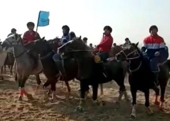 Түркістан облысының полицейлері кезекті көкпарға  тосқауыл қойды