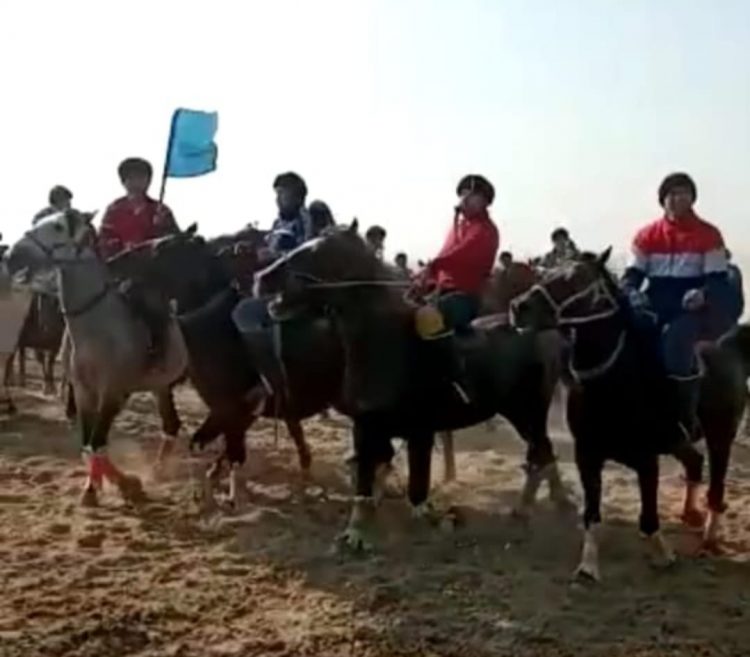 Түркістан облысының полицейлері кезекті көкпарға  тосқауыл қойды