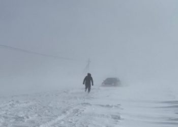 Созақтық полицейлер боранда жолда қалғандарды құтқарды