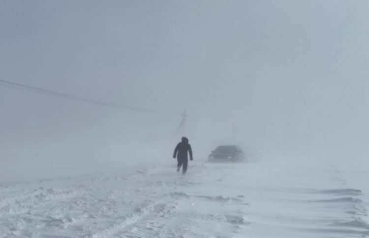 Созақтық полицейлер боранда жолда қалғандарды құтқарды