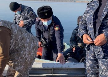 Түркістан облысында полицейлер табиғатқа залал келтірудің 31 әкімшілік құқық бұзушылығы мен 2 экологиялық қылмысын анықтады