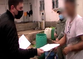 Түркістан облысында жыл басынан бері 100-ден астам есірткі қылмысы анықталған