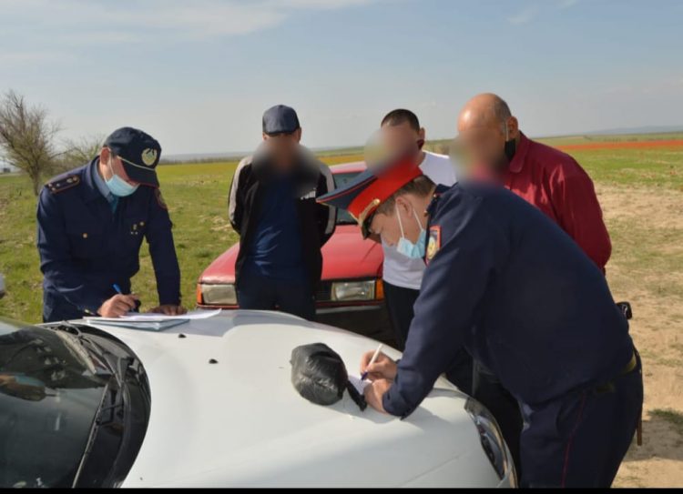 Бәйдібектік полицейлер Қызыл кітапқа енген қызғалдақтарды жұлған ер адамды ұстады