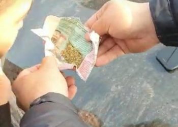 Түркістан облысының полицейлері есірткі сақтаған тұрғынды анықтады