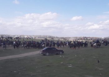 Тәртіп сақшылары жыл басынан бері 48 көкпар ойынын анықтап, тоқтатқан