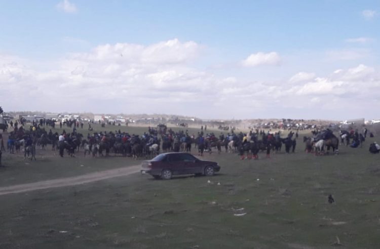 Тәртіп сақшылары жыл басынан бері 48 көкпар ойынын анықтап, тоқтатқан