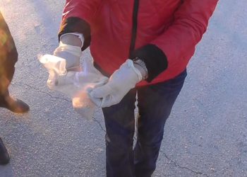 «Героин» тасымалдаған автобус жолаушысын ұстады