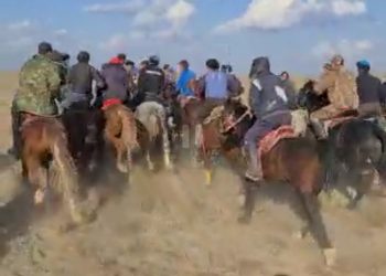 Бірнеше көкпар ойынына тосқауыл қойылды