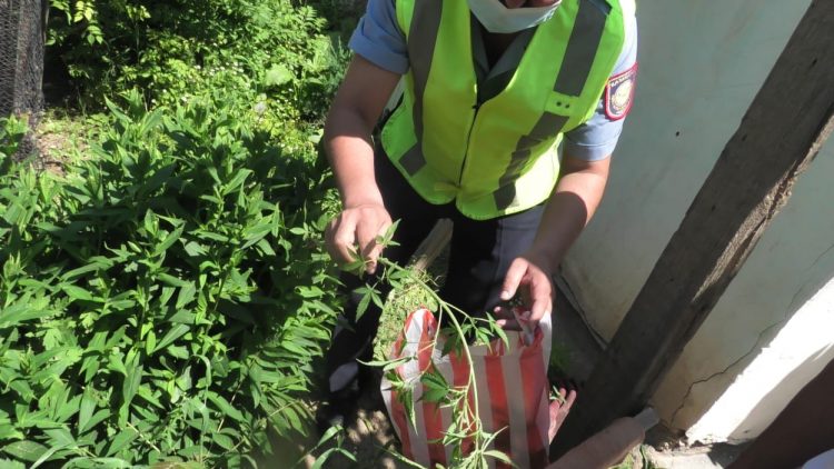 Есірткі қылмысы бойынша 2 бірдей күдіктіні ұстады