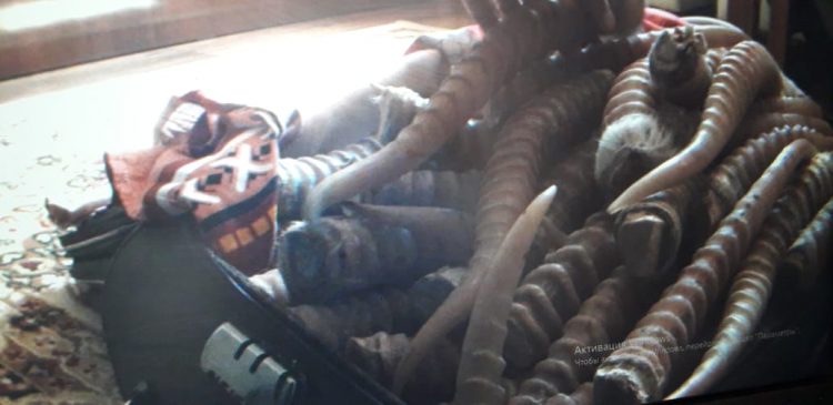 «Қызыл кітапқа» енген ақбөкен жануарының  мүйіздерін  заңсыз сатқан браконьерді анықтады