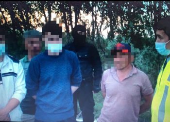 Көліктен 700 грамнан астам марихуана тапты