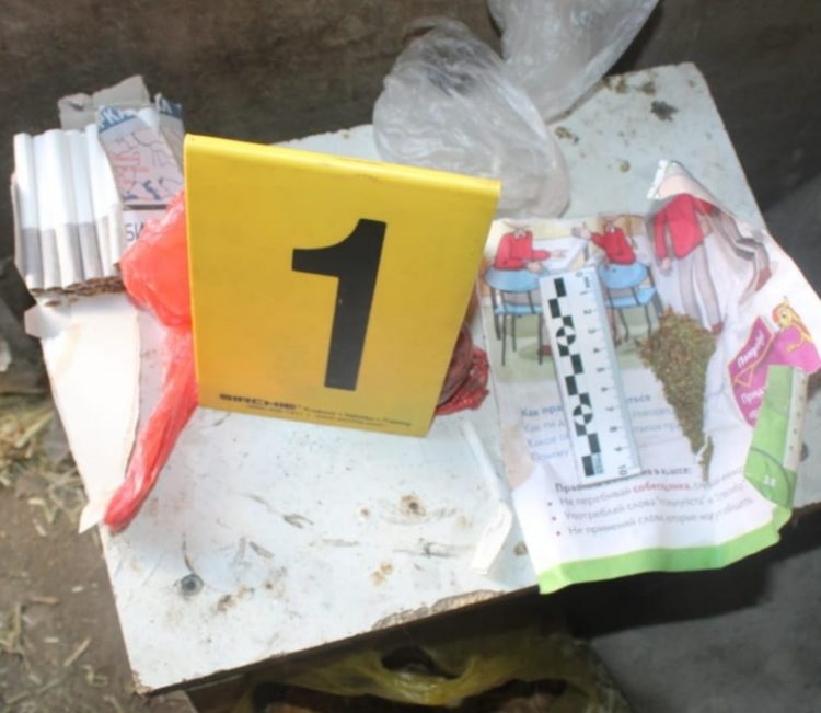 Түркістан облысының полицейлерімен 5 тәулікте есірткіге байланысты 16 қылмыс анықталды