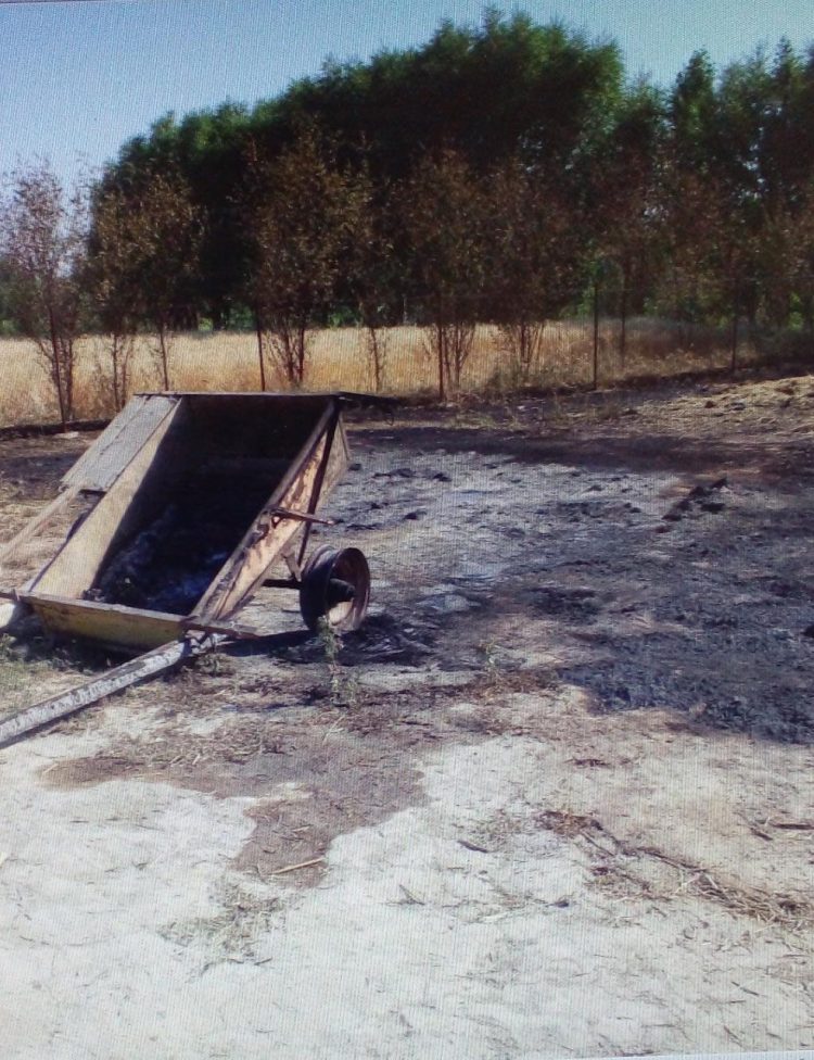 Түркістан облысының полицейлері ағасының шөбін қасақана өртеп жіберген ер азаматты ұстады